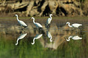 BUITEN BEELD Foto: 235093
