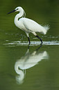 BUITEN BEELD Foto: 235096