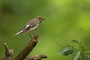BUITEN BEELD Foto: 235103