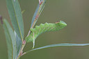 BUITEN BEELD Foto: 235121