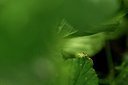 BUITEN BEELD Foto: 235146