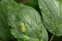 BUITEN BEELD Foto: 235149