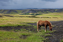 BUITEN BEELD Foto: 235202