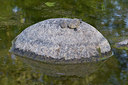BUITEN BEELD Foto: 235207