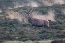 BUITEN BEELD Foto: 235297