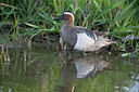 BUITEN BEELD Foto: 235346