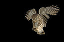 BUITEN BEELD Foto: 235444