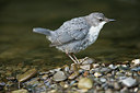 BUITEN BEELD Foto: 235458
