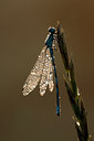 BUITEN BEELD Foto: 235461