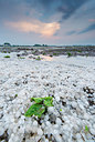 BUITEN BEELD Foto: 235497