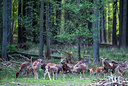 BUITEN BEELD Foto: 235514