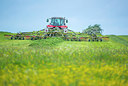 BUITEN BEELD Foto: 235516