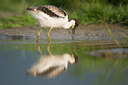 BUITEN BEELD Foto: 235655