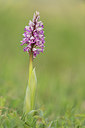 BUITEN BEELD Foto: 235696