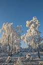 BUITEN BEELD Foto: 235725