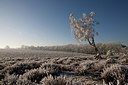 BUITEN BEELD Foto: 235726