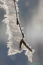 BUITEN BEELD Foto: 235729