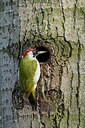 BUITEN BEELD Foto: 235748