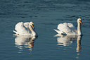 BUITEN BEELD Foto: 235755