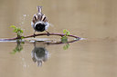 BUITEN BEELD Foto: 235794