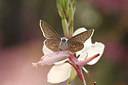 BUITEN BEELD Foto: 235849