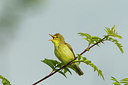 BUITEN BEELD Foto: 235859