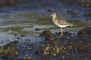 BUITEN BEELD Foto: 235897