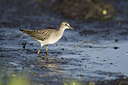 BUITEN BEELD Foto: 235898