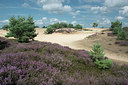 BUITEN BEELD Foto: 235946
