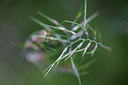 BUITEN BEELD Foto: 236005