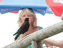 BUITEN BEELD Foto: 236057