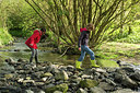 BUITEN BEELD Foto: 236072