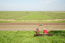 BUITEN BEELD Foto: 236073