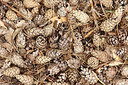 BUITEN BEELD Foto: 236143