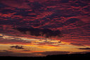 BUITEN BEELD Foto: 236154