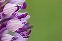 BUITEN BEELD Foto: 236185
