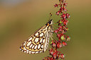 BUITEN BEELD Foto: 236292
