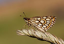 BUITEN BEELD Foto: 236293