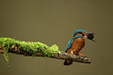 BUITEN BEELD Foto: 236298