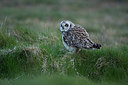 BUITEN BEELD Foto: 236307