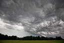 BUITEN BEELD Foto: 236363