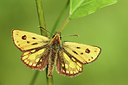 BUITEN BEELD Foto: 236412