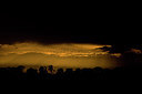 BUITEN BEELD Foto: 236429