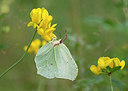BUITEN BEELD Foto: 236498