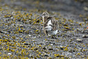 BUITEN BEELD Foto: 236512