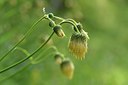 BUITEN BEELD Foto: 236587