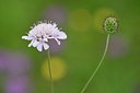 BUITEN BEELD Foto: 236603