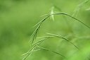 BUITEN BEELD Foto: 236622