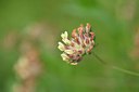 BUITEN BEELD Foto: 236673