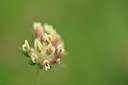 BUITEN BEELD Foto: 236674